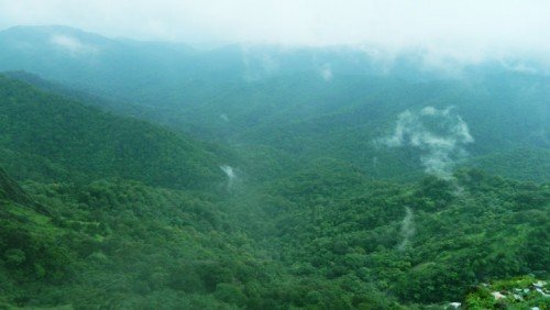 KERALA – GOD'S OWN COUNTRY 5N/6D