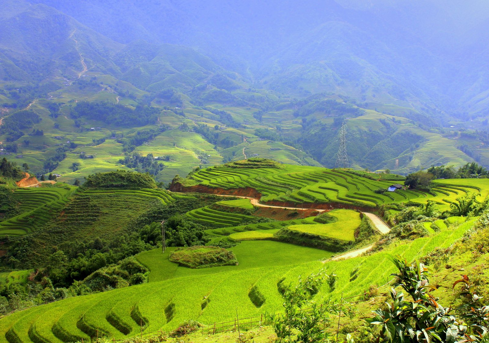 Vietnam Package - Hanoi • Halong Bay • Sapa