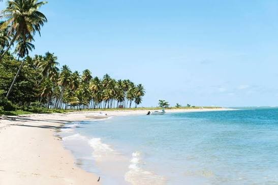 Bangkok and Pattaya tour Packages